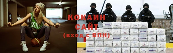сатива Магас