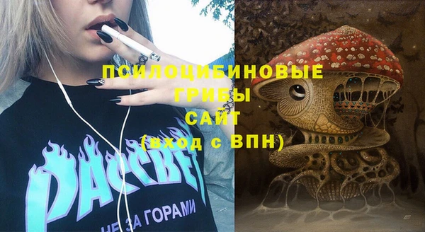 сатива Магас