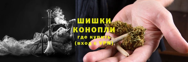 сатива Магас