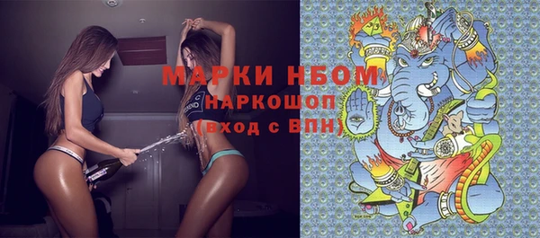сатива Магас