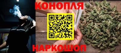 spice Гагарин