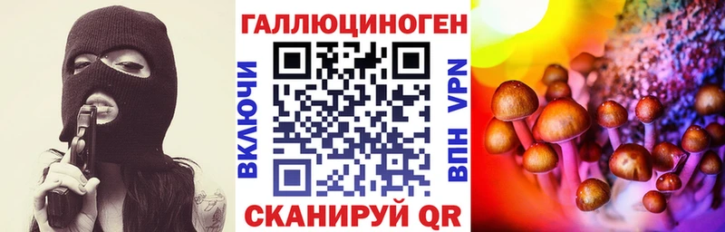Галлюциногенные грибы Psilocybe наркотики Владивосток
