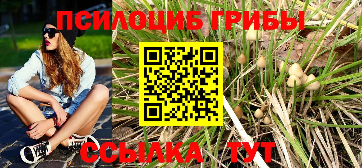 Галлюциногенные грибы мицелий Владивосток