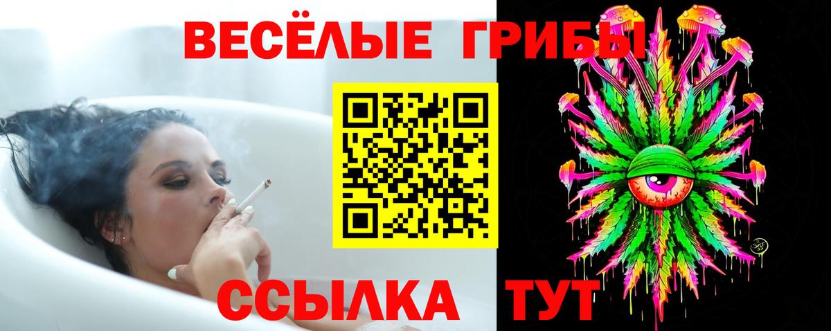 Владивосток  Галлюциногенные грибы Psilocybine cubensis  Вход с VPN 
