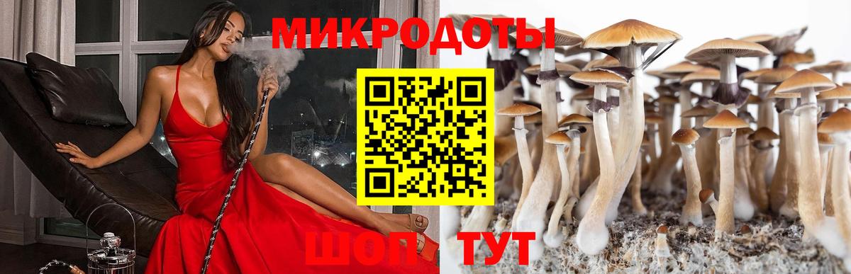 Галлюциногенные грибы мухоморы Владивосток